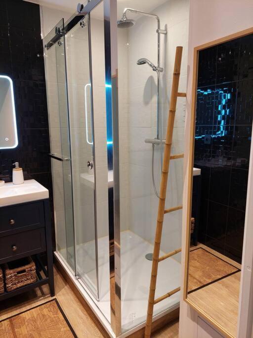 Apartment 65 M² Avec Piscine. Tours